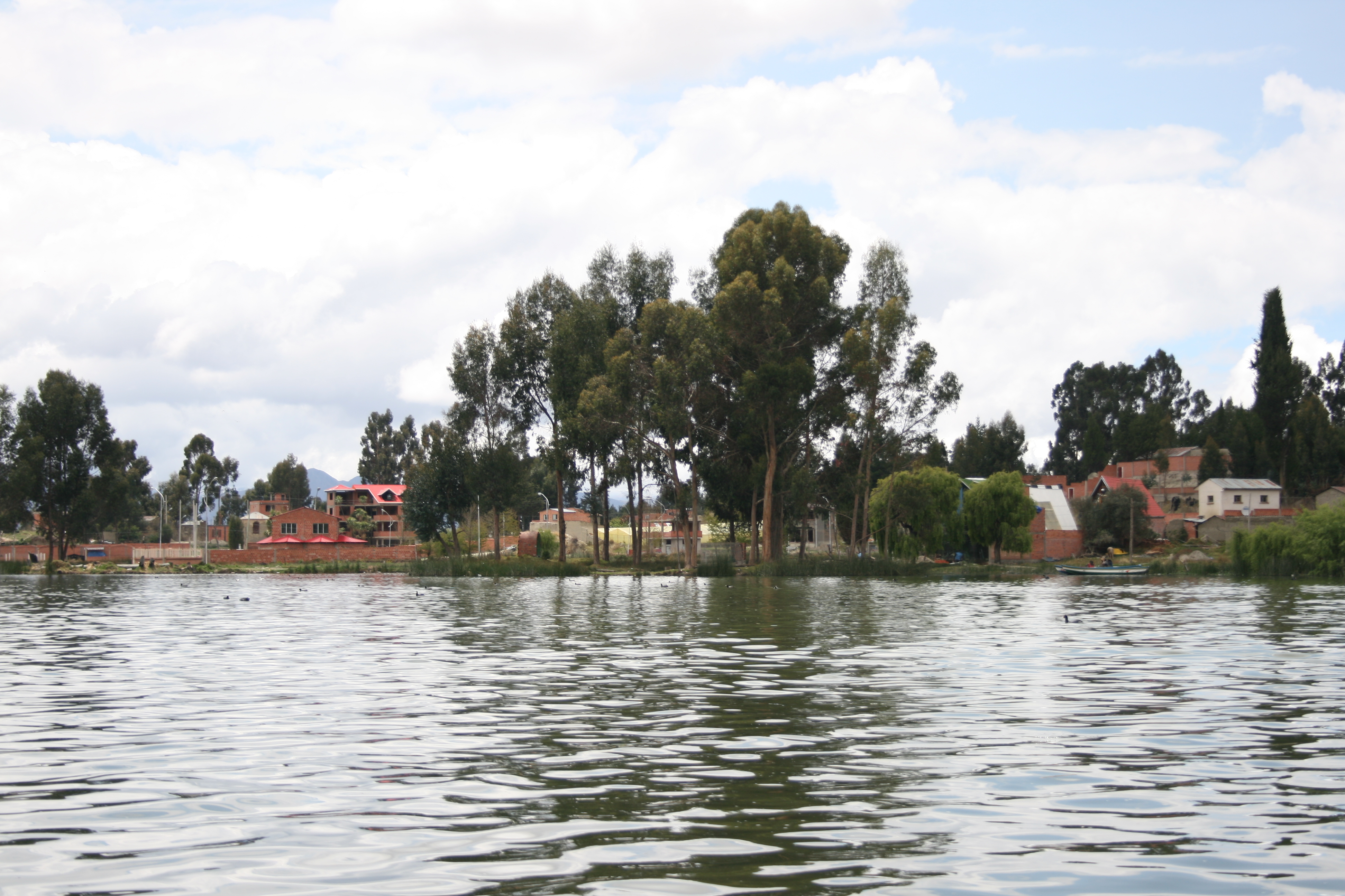 INTRODUCCION - ECOLOGIA
