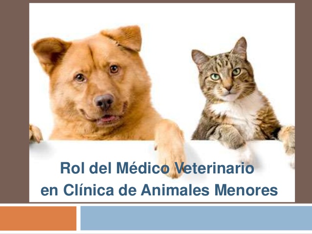 Clínica y Cirugía de Animales Menores y Mayores