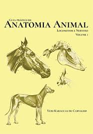 Anatomía Animal I - II (D1)